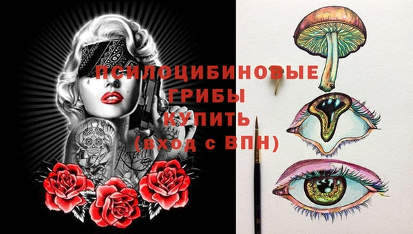 apvp Богородск
